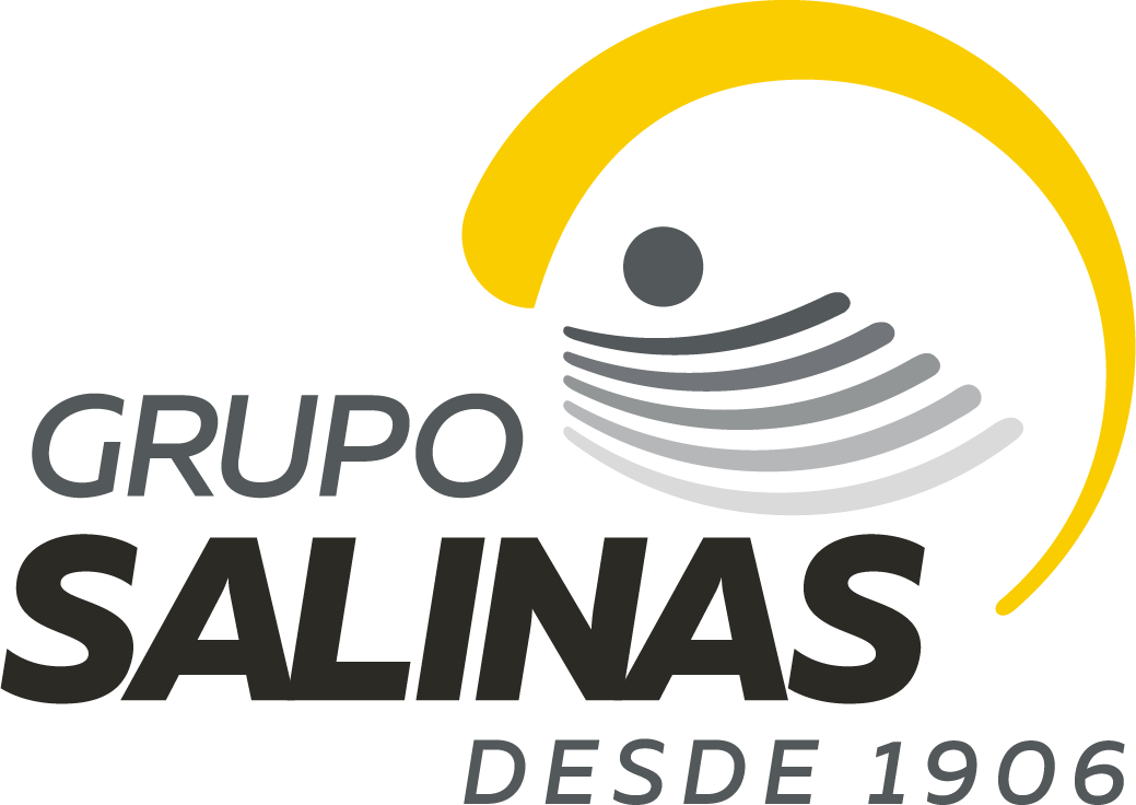 Grupo Salinas
